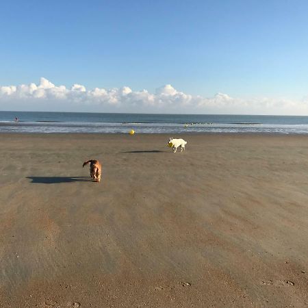 Les Abeilles Daire Knokke-Heist Dış mekan fotoğraf